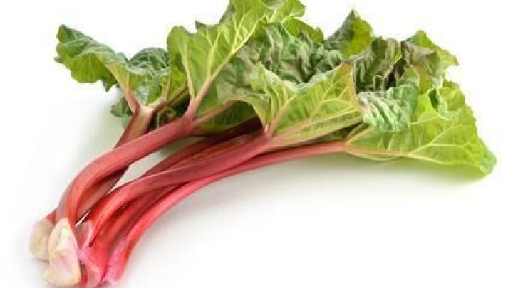 F&uuml;r Rhabarberkompott brauchst du frische Rhabarberstangen.