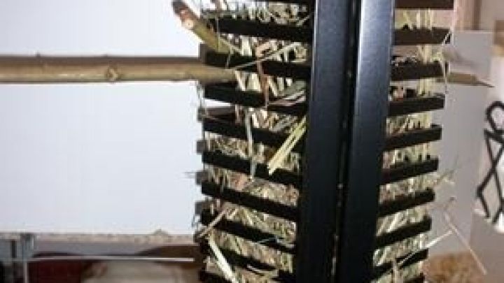 Eine graue Heuraufe aus Metall steht in einem K&auml;fig und ist mit Heu gef&uuml;llt, w&auml;hrend ein Meerschweinchen im Hintergrund sitzt.