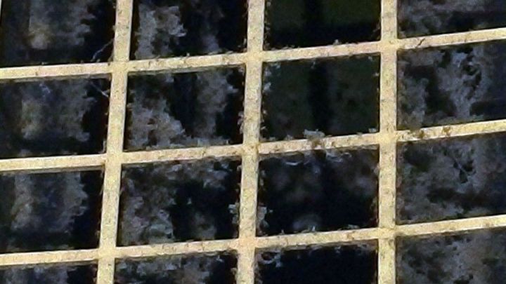 Ein verschmutztes L&uuml;ftungsgitter zeigt Ablagerungen und Schmutz in einem Badezimmer, das regelm&auml;&szlig;ige Reinigung ben&ouml;tigt.