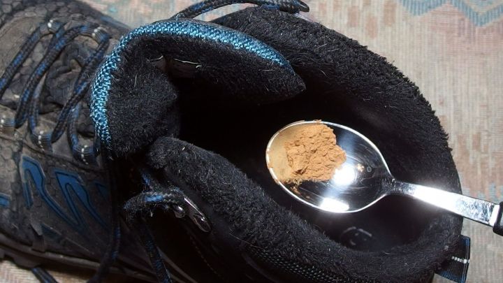 Ein schwarzer Schuh h&auml;lt einen L&ouml;ffel mit einer Portion Zimt, umgeben von einem weichen Teppichboden.