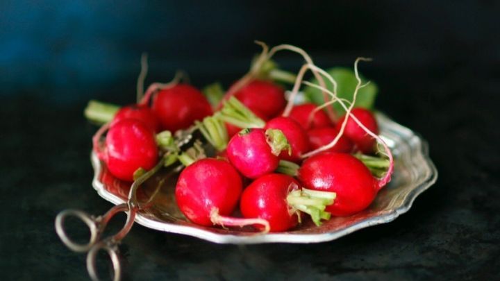 Auf einem silbernen Teller liegen frische Radieschen, umgeben von einem dunklen Hintergrund. Die Radieschen sind leuchtend rot und haben gr&uuml;ne Bl&auml;tter.