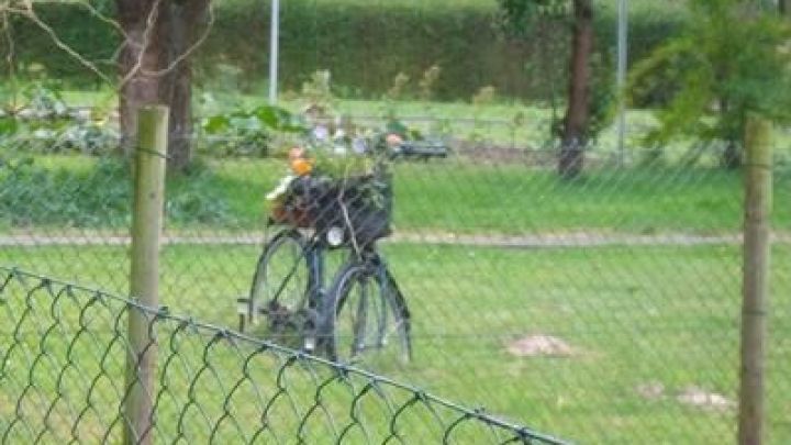 Ein altes Fahrrad steht dekorativ in einem Garten, umgeben von Gras und Pflanzen, als kreative Deko f&uuml;r den Au&szlig;enbereich.