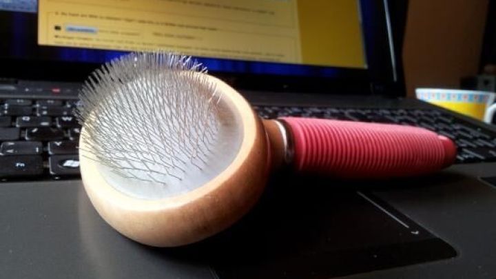Eine Tierdrahtb&uuml;rste liegt auf einem Laptop. Sie wird verwendet, um Tierhaare von Textilien zu entfernen.