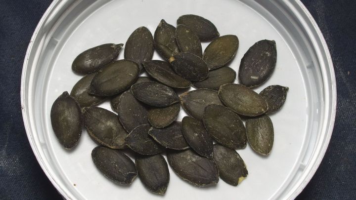 Eine Sch&uuml;ssel mit K&uuml;rbiskernen liegt auf einem dunklen Untergrund, bereit f&uuml;r die Verwendung oder Verarbeitung.