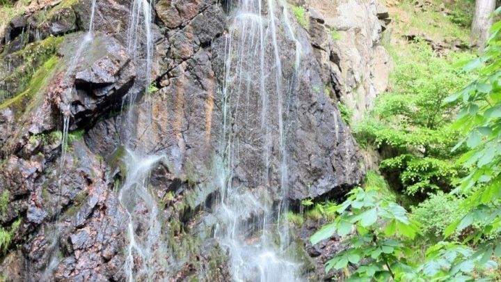 Ein Wasserfall pl&auml;tschert erfrischend zwischen gr&uuml;nen B&auml;umen, umgeben von felsigem Gel&auml;nde und sanfter Natur.