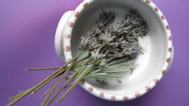 Trockenes Lavendel liegt in einer wei&szlig;en Sch&uuml;ssel auf einem lila Untergrund, bereit zur Herstellung von Lavendelzucker.