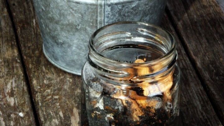 Ein Glas mit Zigarettenasche steht auf einem Holztisch, w&auml;hrend ein bl&uuml;hender Topf daneben platziert ist, umgeben von Pflanzen.