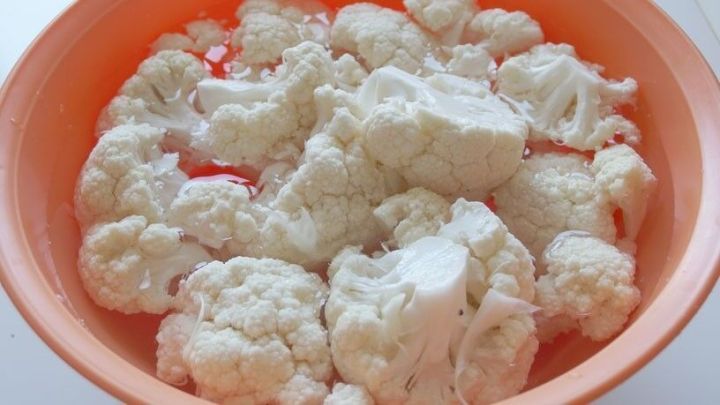 Blumenkohl liegt frisch und sauber in einer Sch&uuml;ssel, bereit zur Zubereitung f&uuml;r ein gesundes Gericht ohne Insekten.