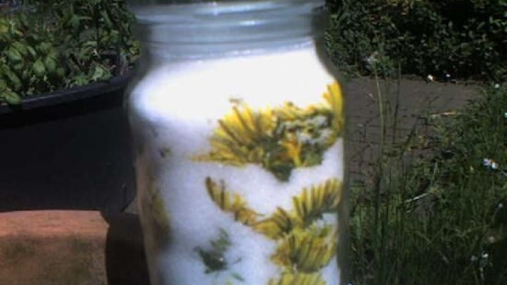 Ein Glas mit wei&szlig;en Kristallen und bunten Duftbl&uuml;ten steht in einem gr&uuml;nen Garten; es wird Sirup hergestellt.