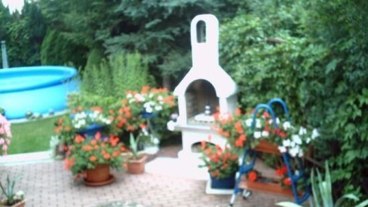 Eine alte Poolleiter h&auml;lt Blument&ouml;pfe auf einer Terrasse neben einem wei&szlig;en Au&szlig;engrill und einem blauen Pool.