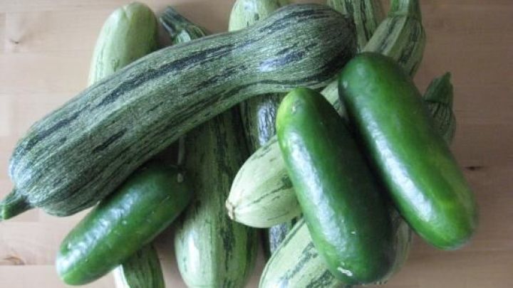 Eine Ansammlung von verschiedenen Zucchini liegt auf einem Holzuntergrund, bereit f&uuml;r die Zubereitung einer Suppe.