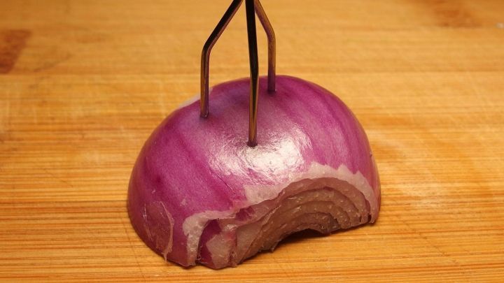 Eine halbierte Zwiebel liegt auf einem Holzbrett, w&auml;hrend ein Zwiebelhacker sie festh&auml;lt, um sie geruchlos zu schneiden.