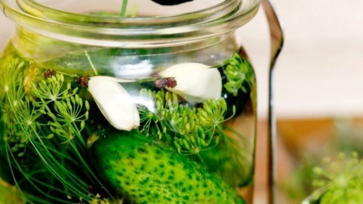 Ein Glas mit Gew&uuml;rzgurken wird ge&ouml;ffnet, dabei ragt eine Gurke heraus. Umgeben von Dill und Knoblauch auf einem Tisch.