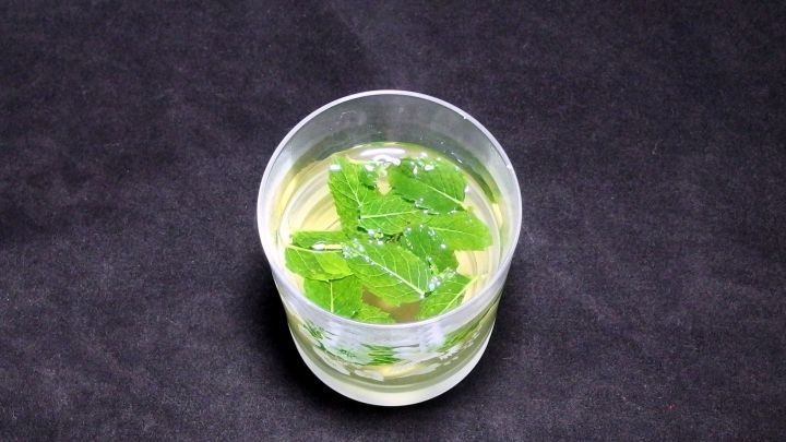 Ein Glas Minztee steht auf einem schwarzen Untergrund, gef&uuml;llt mit hellem Wasser und frischen gr&uuml;nen Minzbl&auml;ttern.