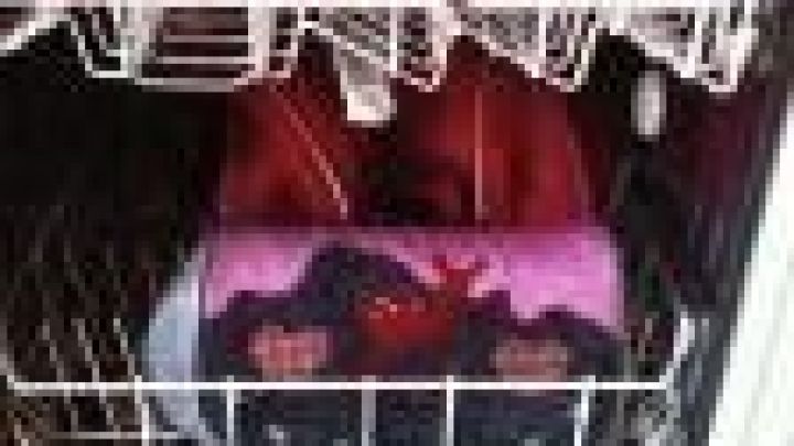 Ein Schulranzen l&auml;sst sich einfach in der Sp&uuml;lmaschine reinigen &ndash; so wird er wieder hygienisch sauber, wie im Artikel beschrieben.