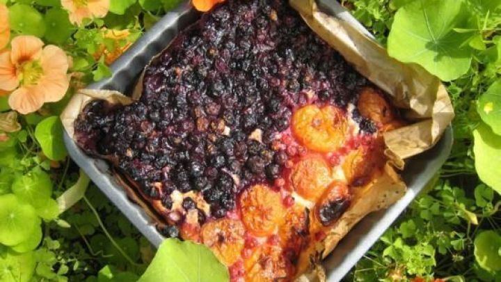 Ein k&ouml;stlicher Blaubeer-Aprikosen-Kuchen liegt in einer Form, umgeben von frischen Blumen und gr&uuml;nem Blattwerk.