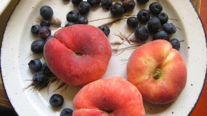 Drei samtige Pfirsiche liegen auf einem Teller, umgeben von frischen, blauen Heidelbeeren in einer gem&uuml;tlichen K&uuml;che.