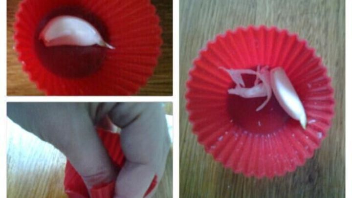 Eine rote Silikonform enth&auml;lt Knoblauchzehen, w&auml;hrend eine Hand sie dr&uuml;ckt, um das Sch&auml;len zu erleichtern.