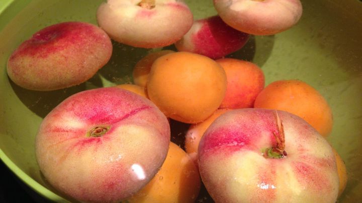 Flache, platte Pfirsiche und Aprikosen schwimmen in einer Schale mit Wasser.