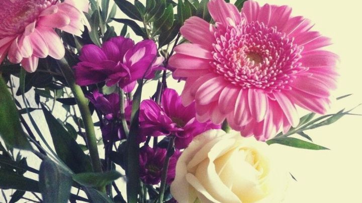 Bunte Schnittblumen in einer Vase zeigen lebendige Farben, frische Bl&uuml;ten stehen harmonisch zwischen gr&uuml;nen Bl&auml;ttern.