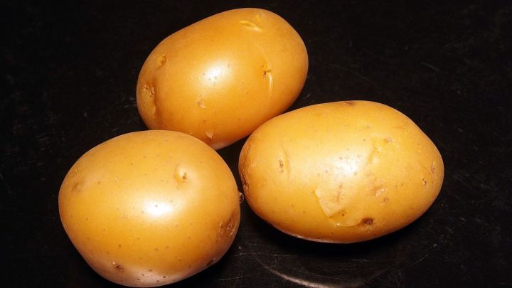 Drei ungesch&auml;lte Pellkartoffeln liegen auf einer schwarzen Oberfl&auml;che und warten darauf, gekocht zu werden.