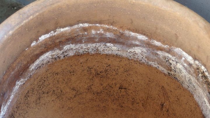 Ein Blumentopf zeigt kalkige R&auml;nder, die sich entlang des Inneren abzeichnen, umgeben von erdigen R&uuml;ckst&auml;nden.