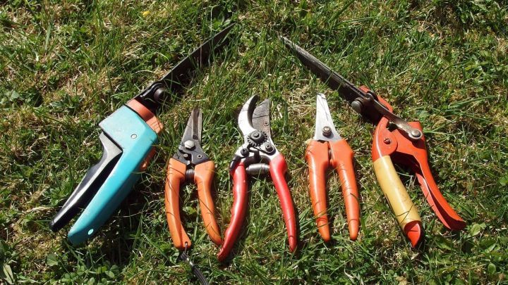 Eine Reihe von Gartenger&auml;ten, darunter Schaufel und Scheren, liegt ordentlich auf frischem, gr&uuml;nem Gras.