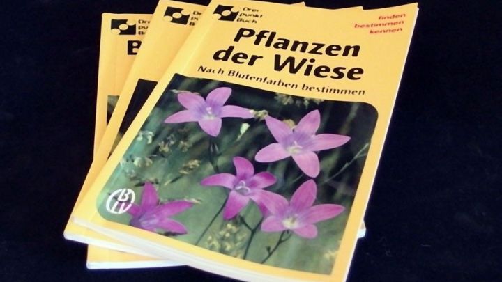 Alte B&uuml;cher mit buntem Cover zeigen Blumen. Sie liegen auf einem Tisch, bereit f&uuml;r eine Reise oder zum Austausch.