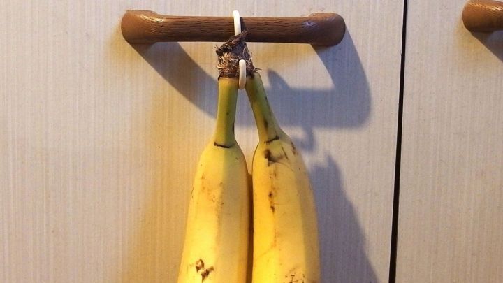 Zwei Bananen h&auml;ngen an einem Haken in einer hellen K&uuml;che, was eine praktische Lagerung zeigt.