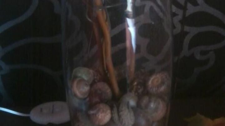 Eine durchsichtige Vase mit Eicheln und Zweigen steht auf einem orangefarbenen Tischuntersetzer, umgeben von dekorativen Lichtern.