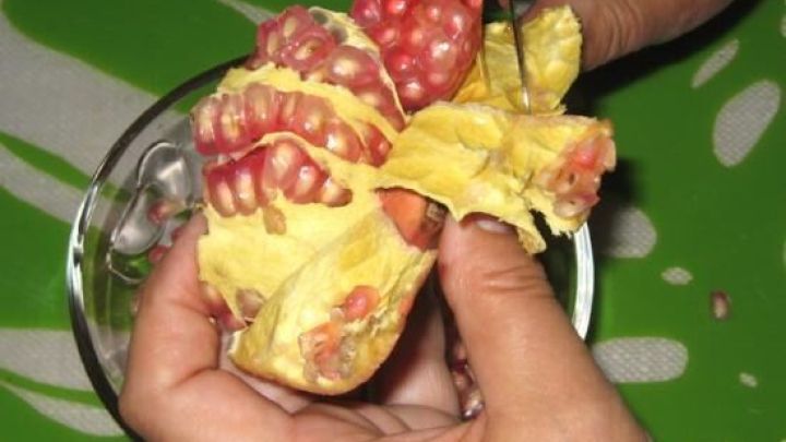 H&auml;nde l&ouml;sen Granatapfelkerne aus der Schale, um sie in einer Sch&uuml;ssel auf einem gr&uuml;n gemusterten Hintergrund zu sammeln.