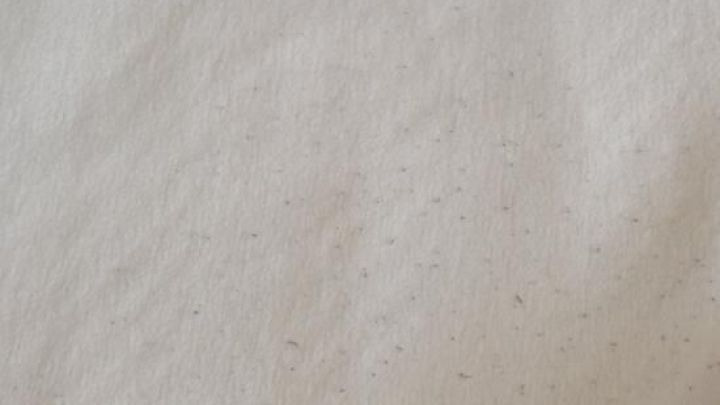 Mit einem einfachen Pulli-Kamm lassen sich diese l&auml;stigen Pilling-Kn&ouml;tchen auf deiner Kleidung schnell und effektiv entfernen.