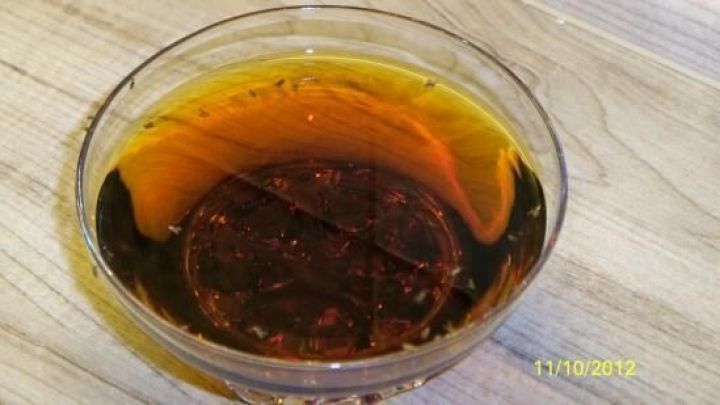 Ein Glas Malzbier steht auf einem Tisch, w&auml;hrend es Obstfliegen anzieht und in der Umgebung ein Holzmuster sichtbar ist.