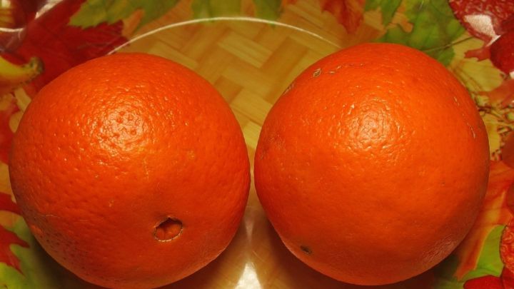 Zwei frische Orangen liegen auf einem bunten Teller, umgeben von einem warmen, einladenden Ambiente.