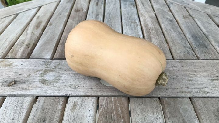 Ein Butternutk&uuml;rbis liegt auf einem runden Holztisch und wartet darauf, f&uuml;r die Zubereitung von Butternutk&uuml;rbistalern verwendet zu werden.