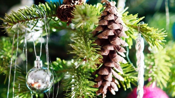 Tannenzapfen h&auml;ngen harmonisch zwischen gl&auml;nzendem Weihnachtsschmuck an einem festlich geschm&uuml;ckten Baum.