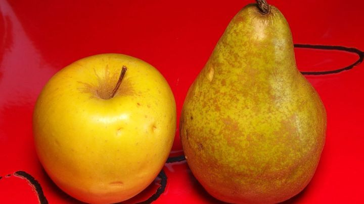 Birnen-Apfel-Kompott - Rezept | Frag Mutti