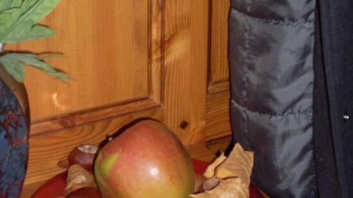Ein gro&szlig;er Apfel liegt dekorativ auf einem Teller, umgeben von Kastanien und bunten Bl&auml;ttern in einem gem&uuml;tlichen Raum.