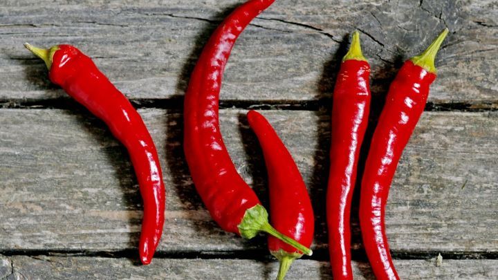 Rote Chilischoten liegen auf einer rustikalen Holztischfl&auml;che, bereit zur Zubereitung f&uuml;r ein scharfes Gericht.