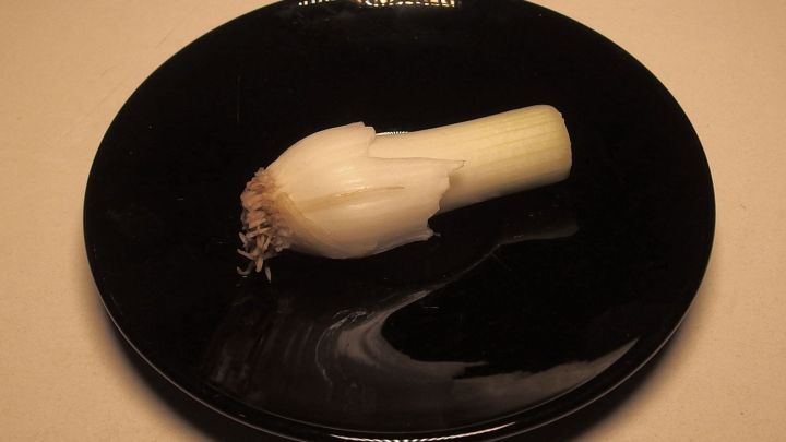 Ein porzellanartiger Lauch liegt auf einem schwarzen Teller und vermittelt frische Vitamine f&uuml;r den Winter.