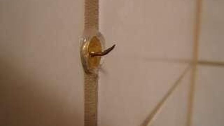 Ein Bilderhaken ist mit einer Rei&szlig;zwecke an einer Fuge in der Wand angebracht, um Dekoration zu befestigen.