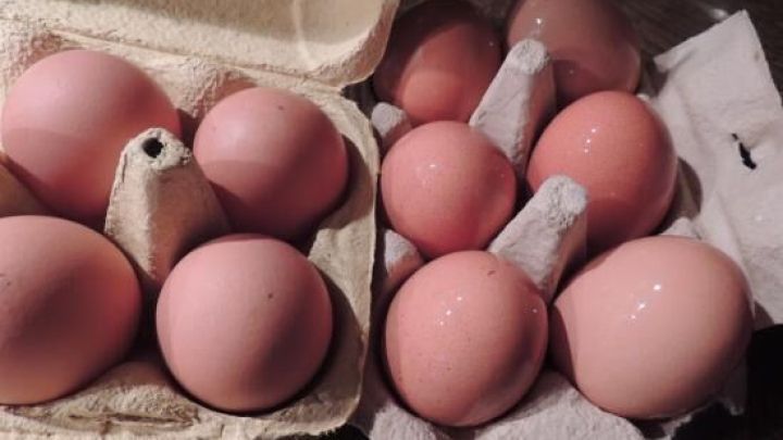 Eier liegen sauber und frisch in ge&ouml;ffneten Eierkartons auf einem Holztisch.