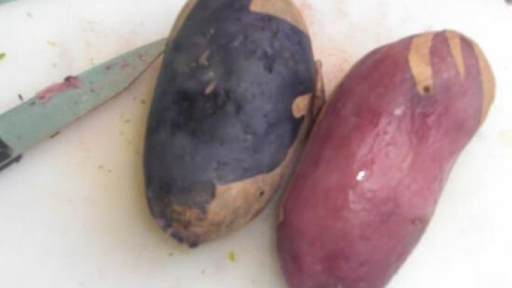 Bunte Kartoffeln liegen auf einem Schneidebrett, bereit zur Verarbeitung f&uuml;r einen kunterbunten Kartoffelsalat.