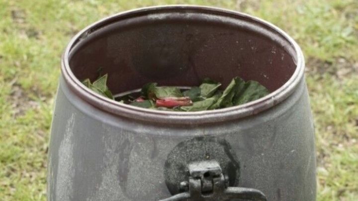 Ein dunkler, metallener Beh&auml;lter steht im Freien, gef&uuml;llt mit Pflanzenmaterial zur Herstellung von Brennesseljauche.