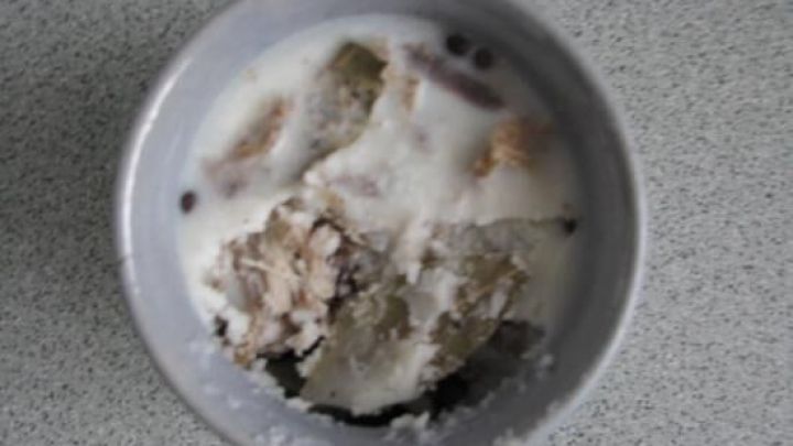 Eine Sch&uuml;ssel mit einer cremigen Rillette-Mischung, umgeben von einem grauen Hintergrund, l&auml;dt zum Genie&szlig;en ein.