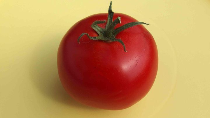 Eine satte, rote Tomate liegt auf einem gelben Teller und wirkt frisch und einladend in einer einfachen K&uuml;chenszene.