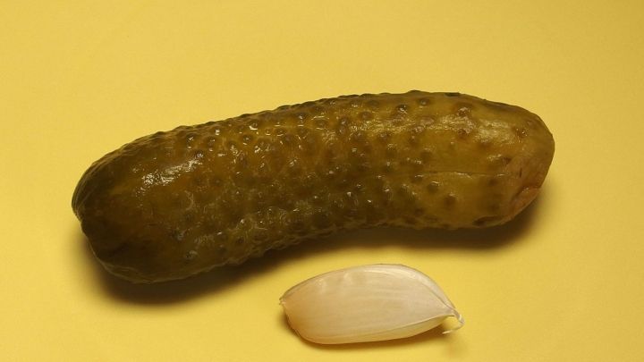 Eine gr&uuml;ne Gurke und eine Knoblauchzehe liegen auf einem gelben Hintergrund, bereit zum Einlegen.