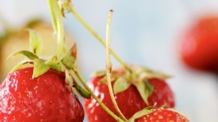 Frische Erdbeeren liegen auf einem hellblauen Holzuntergrund, w&auml;hrend ihre gr&uuml;nen Stiele sichtbar sind.