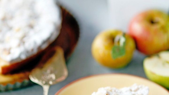 Ein St&uuml;ck schneller Apfelkuchen liegt auf einem Teller, umgeben von frischen &Auml;pfeln und einer Blumenverzierung im Hintergrund.