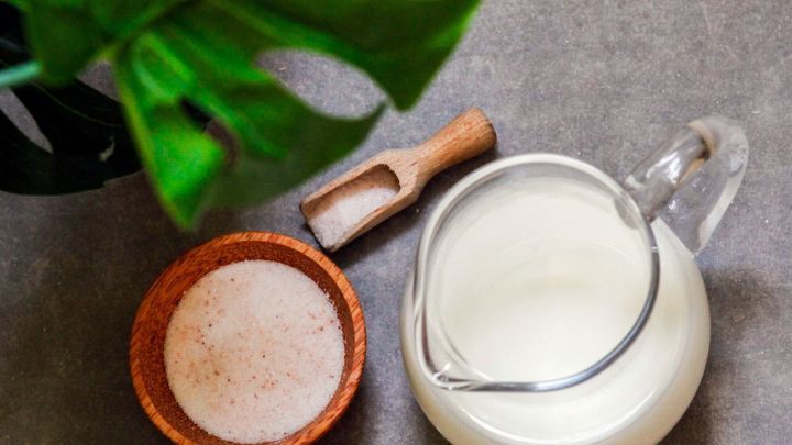 Ein Glas Kondensmilch steht neben einer Schale mit Salz und einem Holzl&ouml;ffel, umgeben von gr&uuml;nen Pflanzenbl&auml;ttern.